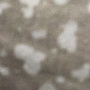 Meet your Posher, Connor